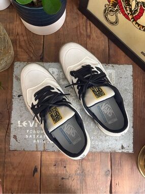 Vans Off The Wall Men's Low-Top Skate Sneakers